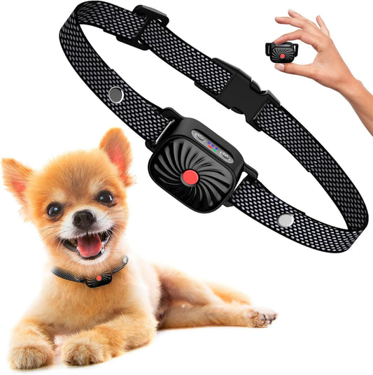 Smart Anti-Bark Training Collar with remote control shown next to a small Chihuahua dog