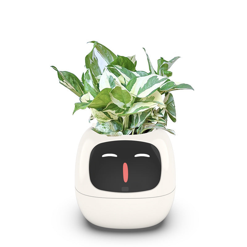 Smart Plant Pot with Expressive Digital Face
