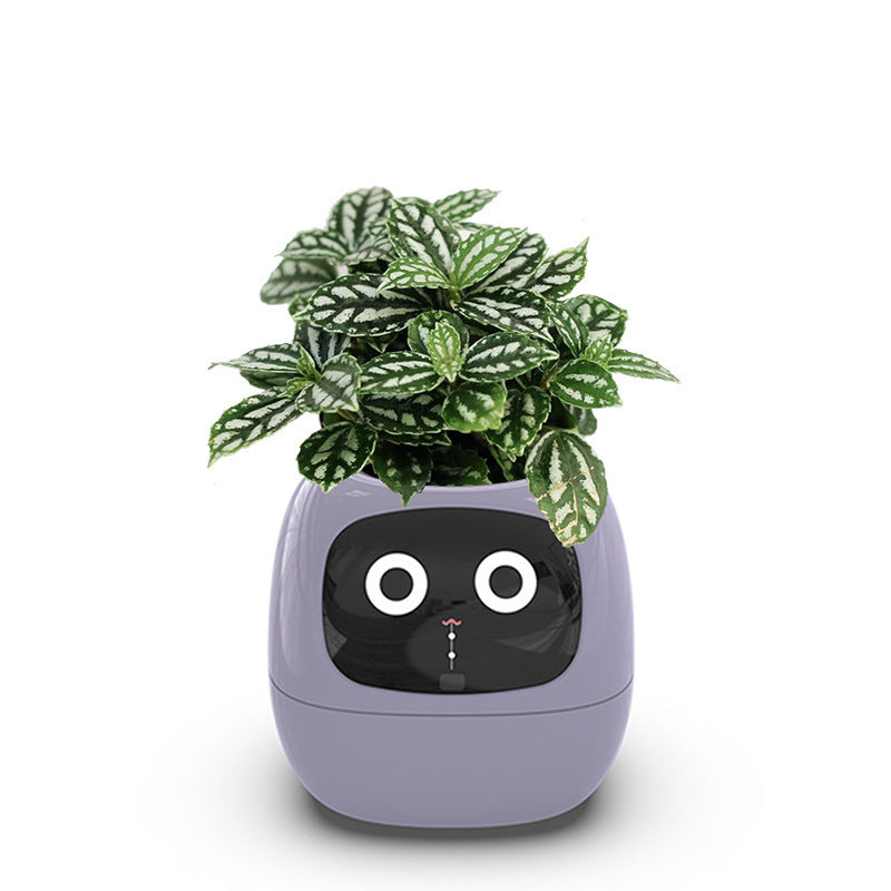 Smart Plant Pot with Expressive Digital Face