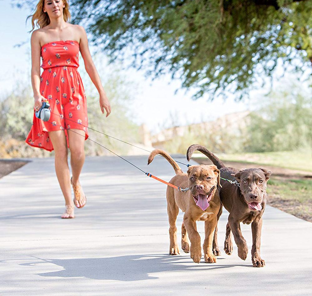Dual Retractable Dog Leash for Two Dogs - All Goodz ZA