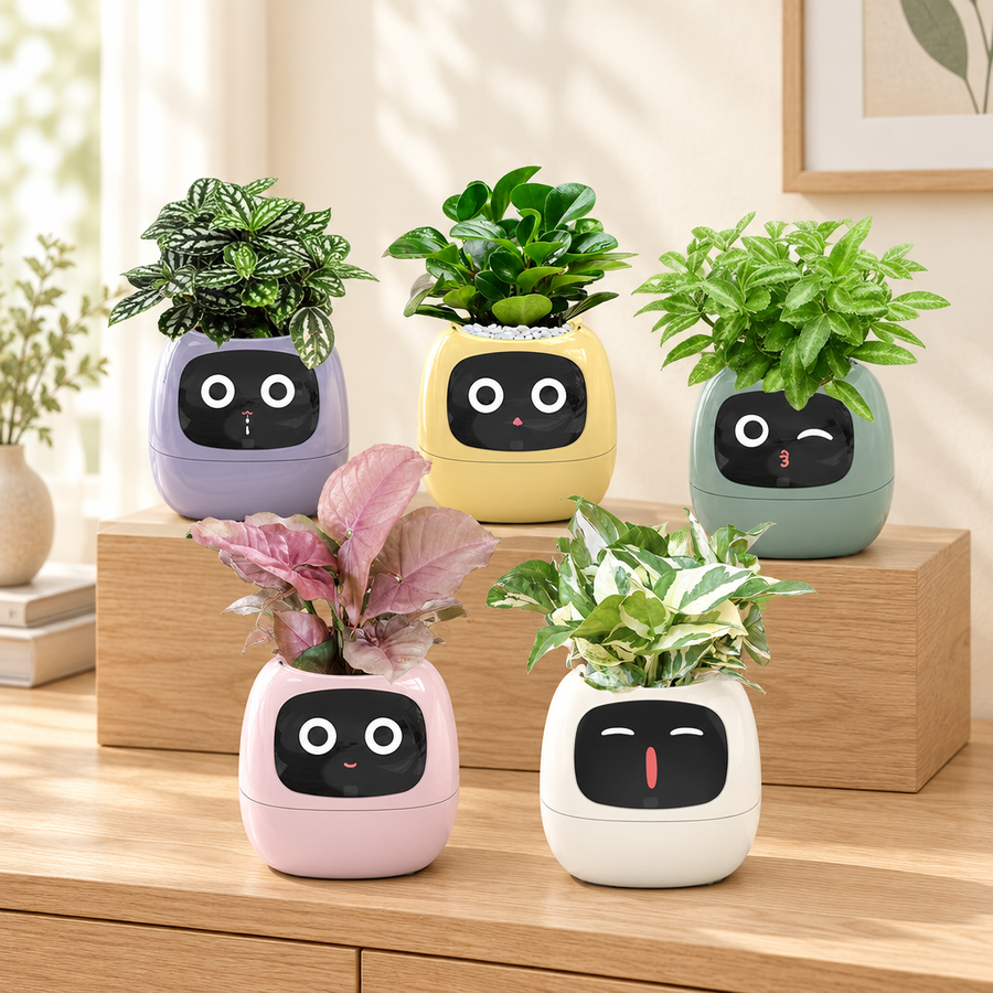 All five smart planter colours together