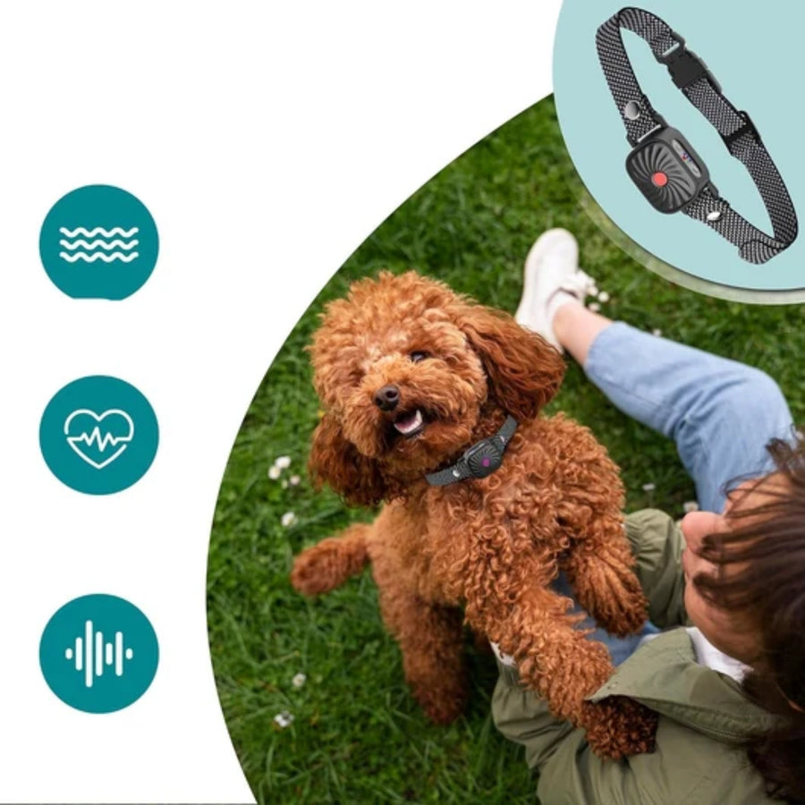 Smart Anti-Bark Training Collar with Remote - All Goodz ZA